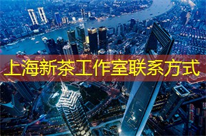 美丽宜居上海：探寻城市中的绿色生活