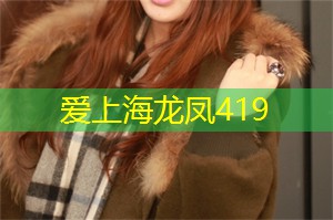 城市探险:上海的主题房屋 城市探险:上海的主题房屋