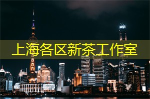 上海龙凤419：创意营销：在上海的活动策划