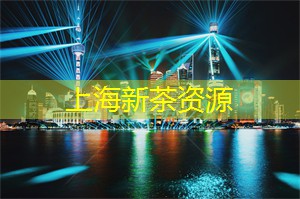 上海品茶网：文化与美食交织的上海夜市